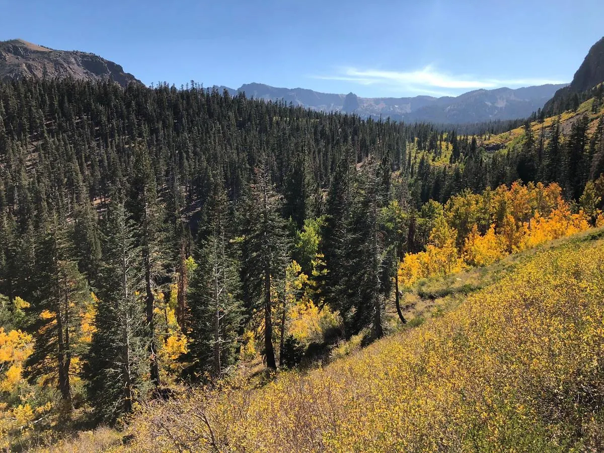 Mountainback #117, Loft Villa Mammoth Lakes United States